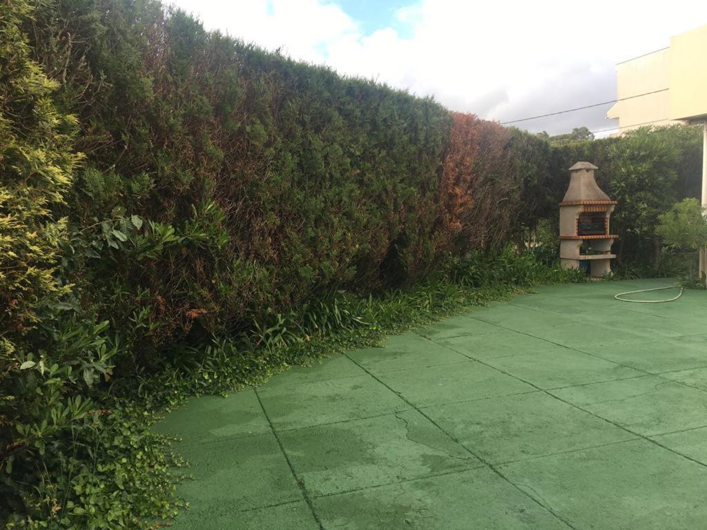 Jardim De Moledo Leilighet Moledo  Eksteriør bilde